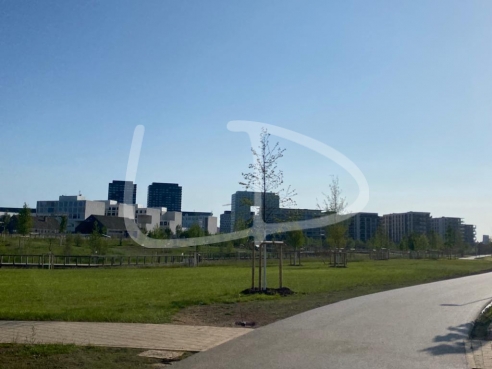 WhatsApp Image 2023-06-28 at 15.33.58 (3).jpeg